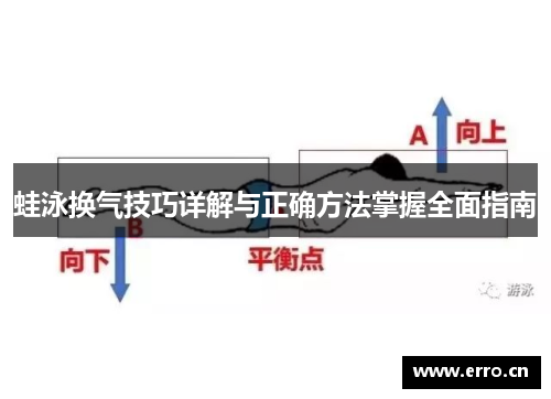 蛙泳换气技巧详解与正确方法掌握全面指南